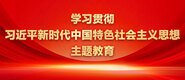 性感网站大全免费阅读视频学习贯彻习近平新时代中国特色社会主义思想主题教育_fororder_ad-371X160(2)